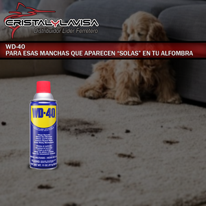 Como quitarle una mancha a mi alfombra
